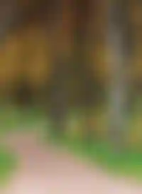 Места творческого<br>вдохновения