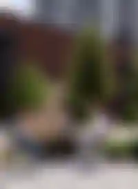 Концептуальное<br />благоустройство территории