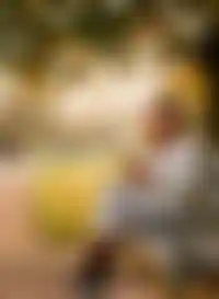 Жизнь <br />в объятиях парков