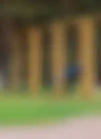 Зеленые маршруты