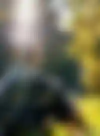 Гармония <br />города и природы