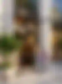 Богатая<br />собственная<br />инфраструктура