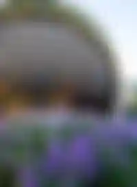 Отдых и развлечения<br />рядом