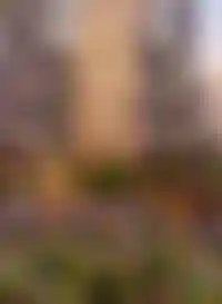 <p>Дворы и озеленение</p>