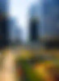 <p>Дворы и озеленение</p>