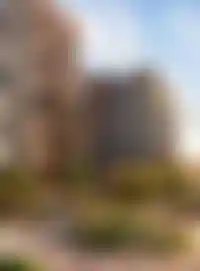 <p>Дворы и озеленение</p>