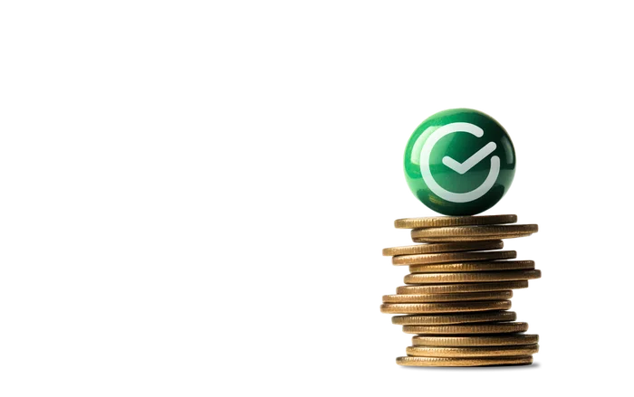 Сниженный платеж <br>на период 13 месяцев